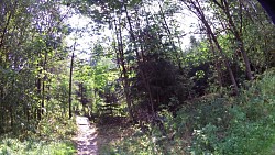 Picture from track educational trail from the forest to the Valley of Doubrava