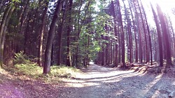 Picture from track educational trail from the forest to the Valley of Doubrava