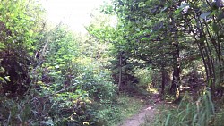 Picture from track Educational trail through the valley of the Doubrava from Bilek