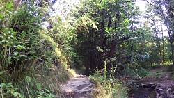 Picture from track Educational trail through the valley of the Doubrava from Bilek
