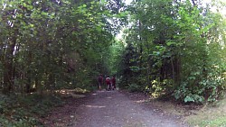 Picture from track Educational trail through the valley of the Doubrava from Bilek