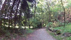 Picture from track Educational trail through the valley of the Doubrava from Bilek