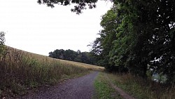 Picture from track From Františkovy Lázně to Cheb and back