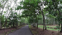 Picture from track From Františkovy Lázně to Cheb and back