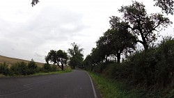 Picture from track For beauty and natural heritage of Františkovy Lázně and surrounding area