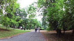 Picture from track For beauty and natural heritage of Františkovy Lázně and surrounding area