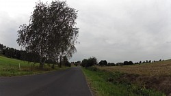 Picture from track For beauty and natural heritage of Františkovy Lázně and surrounding area