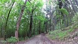 Picture from track Discovering the castles of the Czech - German Borderland