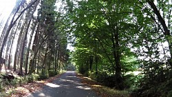 Picture from track The route along the most western part of the Czech Republic