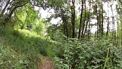 Picture from track The route along the most western part of the Czech Republic