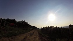 Obrazek z trasy Wzdłuż winnic do miejsca, gdzie rośnie radość