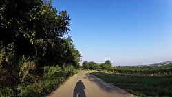 Picture from track Along the vineyards to where joy grows