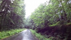 Picture from track EuroVelo 13. The Iron Curtain Trail - part of the Pilsen Region