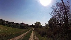 Picture from track Round the Cellars and Vineyards of the Mikulov Region