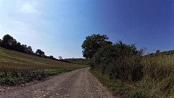 Picture from track Round the Cellars and Vineyards of the Mikulov Region