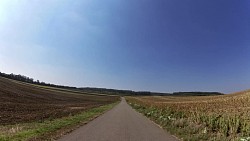 Picture from track Round the Cellars and Vineyards of the Mikulov Region