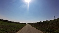 Picture from track Round the Cellars and Vineyards of the Mikulov Region