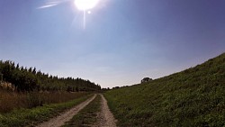 Picture from track Round the Cellars and Vineyards of the Mikulov Region