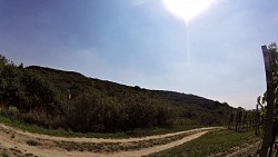 Picture from track Round the Cellars and Vineyards of the Mikulov Region