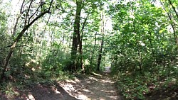 Picture from track Mikulov - a walk from the historical square to Svatý Kopeček (Holly Hill)