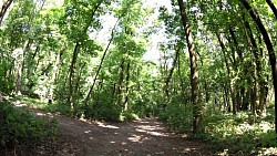 Picture from track Mikulov - a walk from the historical square to Svatý Kopeček (Holly Hill)