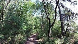 Picture from track Mikulov - a walk from the historical square to Svatý Kopeček (Holly Hill)