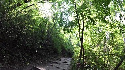 Picture from track Mikulov - a walk from the historical square to Svatý Kopeček (Holly Hill)