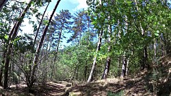 Picture from track Zručská trail to the lookout tower Babka