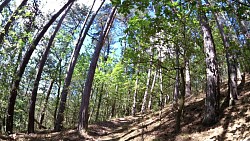 Picture from track Zručská trail to the lookout tower Babka