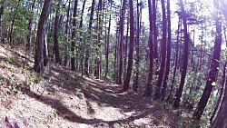 Picture from track Zručská trail to the lookout tower Babka