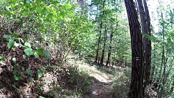 Picture from track Zručská trail to the lookout tower Babka