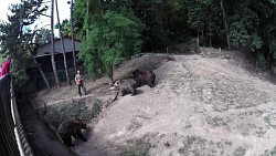 Picture from track Zoo and botanical garden in Plzeň