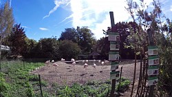 Obrázek z trasy Zoologická a botanická zahrada Plzeň