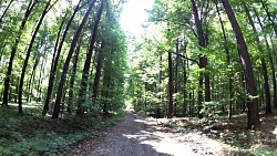 Picture from track Cycle route around Záhoří