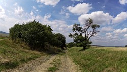 Picture from track Cycle route around Záhoří