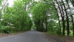 Picture from track Cycle route around Záhoří