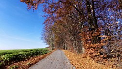 Obrazek z trasy Dolina Skuhrovskiego potoku