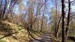 Obrazek z trasy Dolina Skuhrovskiego potoku
