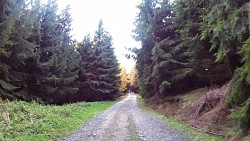 Obrázek z trasy Medvědí stezky, Beskydy - modrý okruh