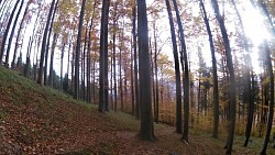 Obrázek z trasy Medvědí stezky, Beskydy - modrý okruh