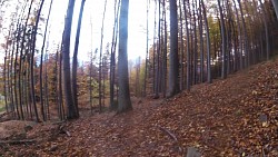 Obrázek z trasy Medvědí stezky, Beskydy - modrý okruh