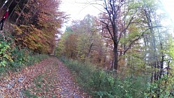 Obrázek z trasy Medvědí stezky, Beskydy - modrý okruh