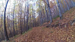 Obrázek z trasy Medvědí stezky, Beskydy - krkavčí stezka (fialový okruh)