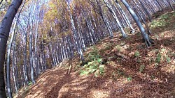 Obrázek z trasy Medvědí stezky, Beskydy - krkavčí stezka (fialový okruh)