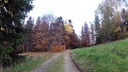 Obrázek z trasy Medvědí stezky, Beskydy - liščí stezka (oranžový okruh)