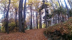 Obrázek z trasy Medvědí stezky, Beskydy - liščí stezka (oranžový okruh)