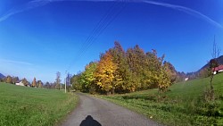 Obrázek z trasy Medvědí stezky, Beskydy - zaječí stezka (zelený okruh)