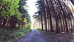 Obrázek z trasy Medvědí stezky, Beskydy - zaječí stezka (zelený okruh)