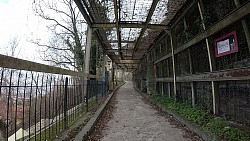 Obrázek z trasy Trenčín - procházka od zimního stadionu přes centrum až na hrad.