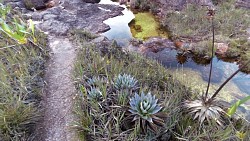 Obrázek z trasy Roraima jacuzzi